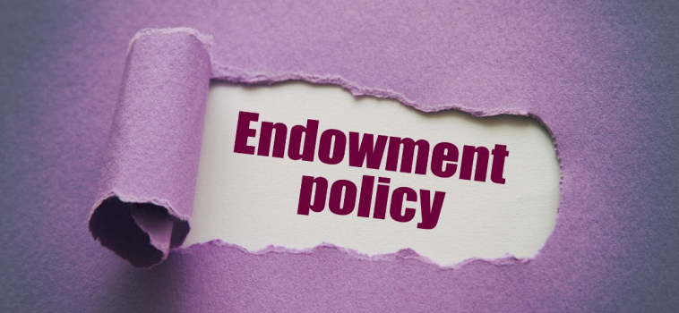 What Nonprofits Need to Know About Endowment Restrictions