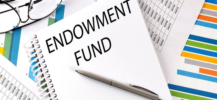 What is an Endowment and How Does it Work?