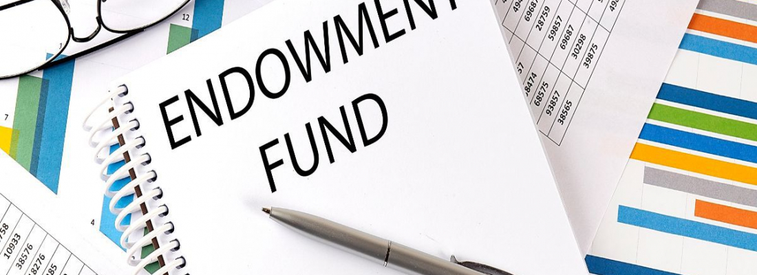 What is an Endowment and How Does it Work?