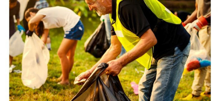 When Should a Nonprofit Be Organized as a Trust?