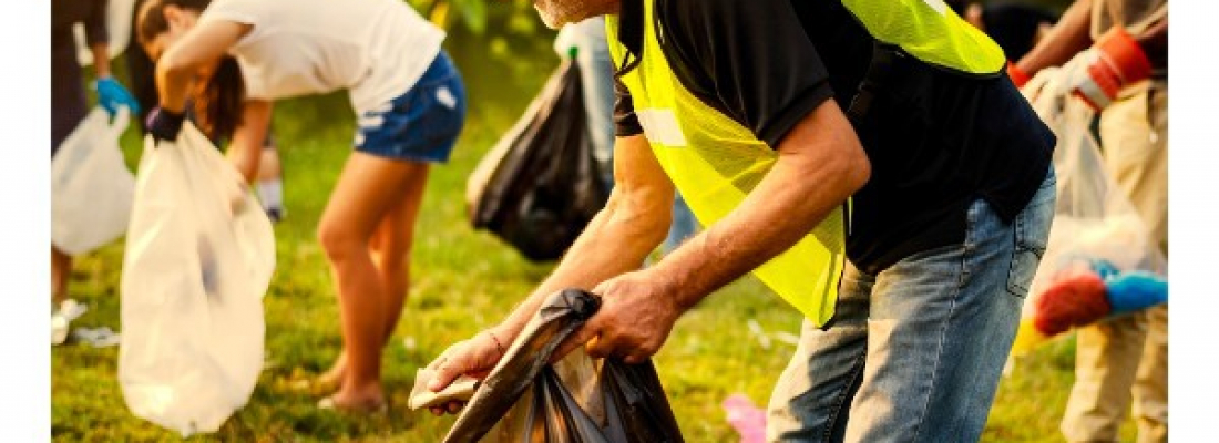 When Should a Nonprofit Be Organized as a Trust?